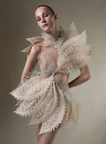 Ophelia Lace Party Dress — front view